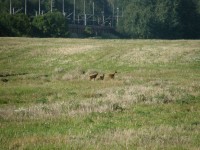 P9110036_lq.jpg (136.87 KiB) Zobrazeno 3028 x Na vecer jsme uz pomerne brzy planovali nejake to grilovani a masicko... :-)