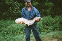 L.P. 1999, Polička-Přehrada 1, rousnice, Sumec byl za 13min. na břehu. 25ka vlasec- už nevím jakej, asi Byron...