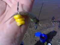 10042011126.jpg