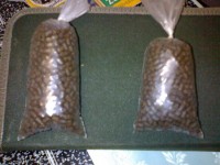 22042011152.jpg