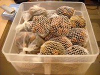 DSCN0537.JPG