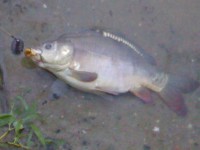 30042011160.jpg