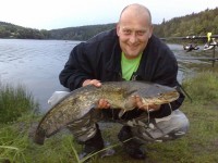 Sumec 85cm. na česnek 4.jpg