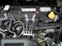 SL381824.JPG