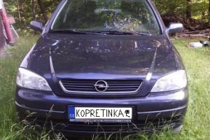 kopretinka