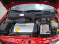 1237459920_obraz0010