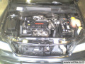 opeltom 3