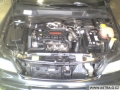 opeltom 3