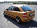 Roubik 3