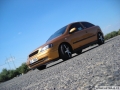Roubik 4